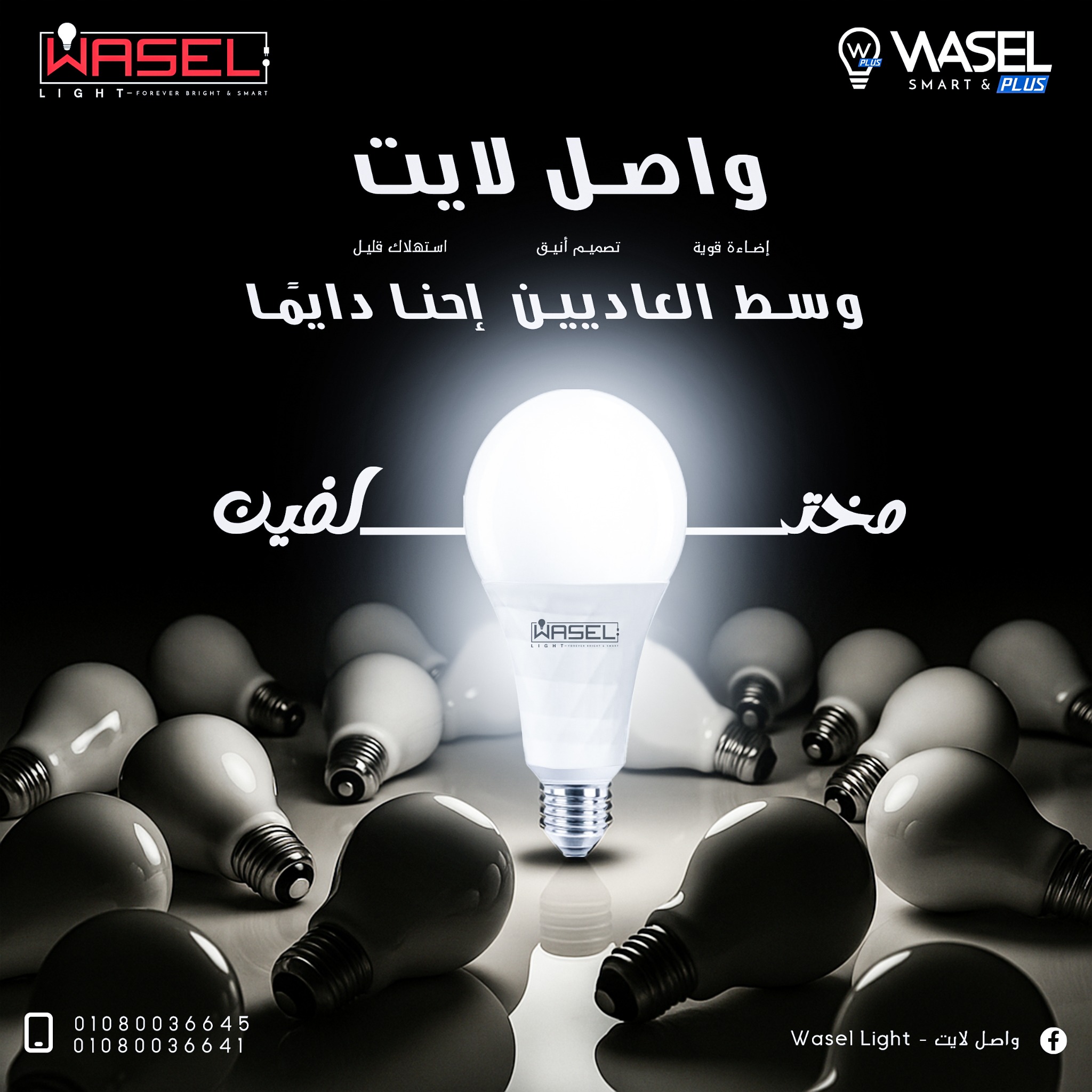 Wasel bulb dramatic product post
