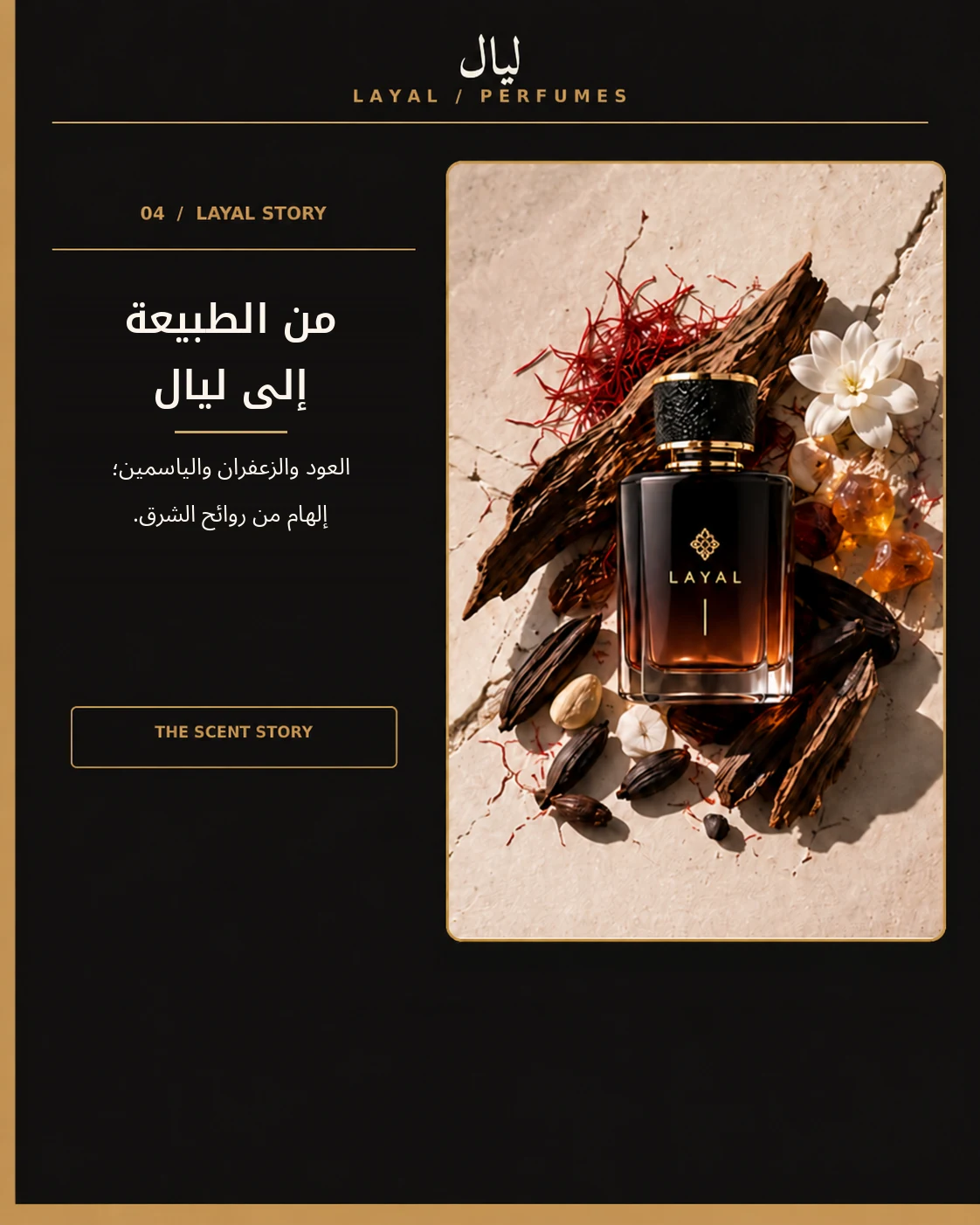 From nature to LAYAL